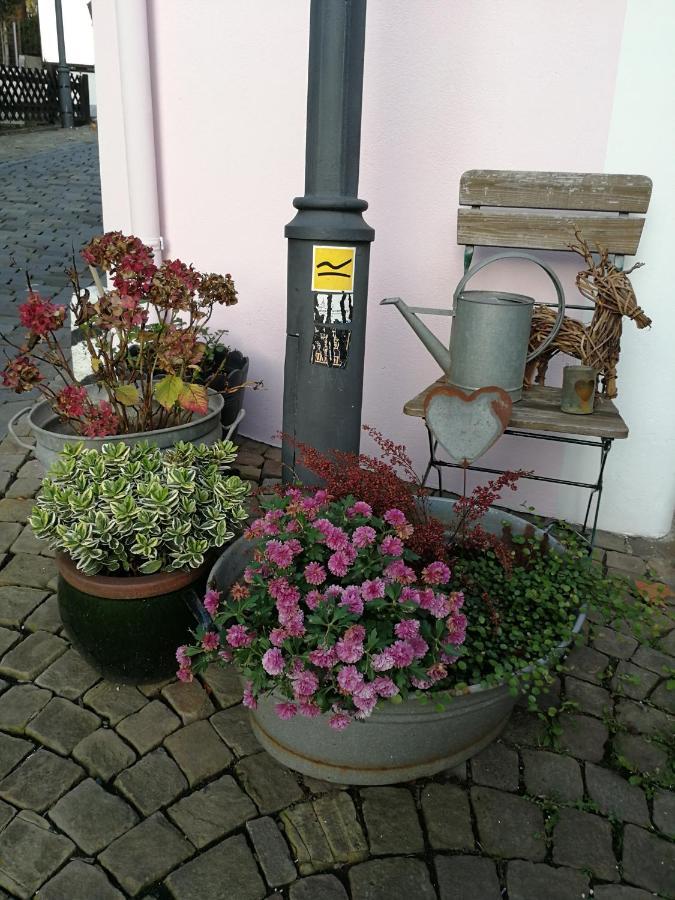 Altstadt Oberstadt Haeuschen * Siegen