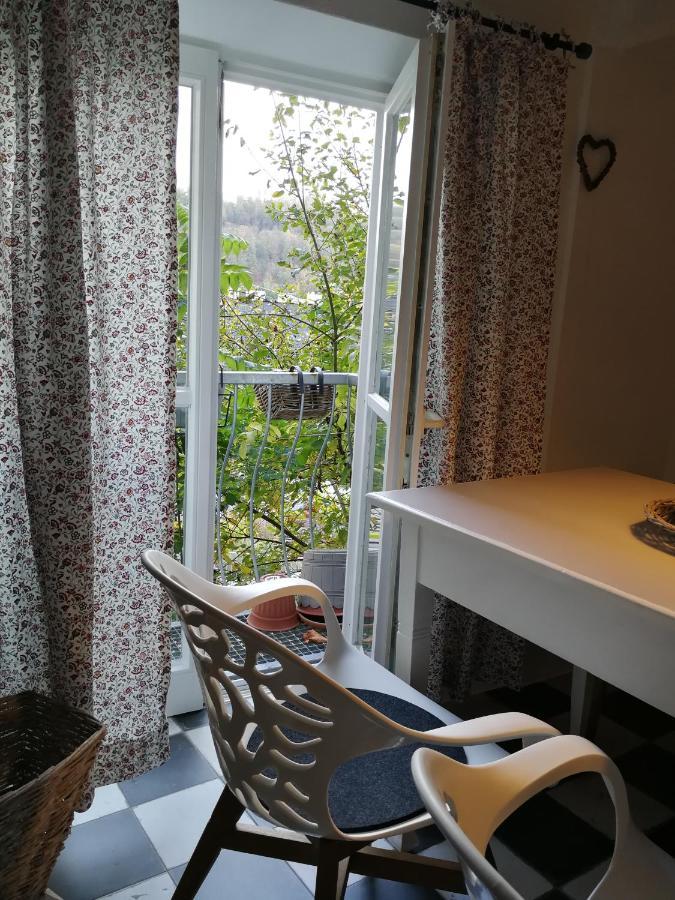 Apartment Altstadt Oberstadt Haeuschen *